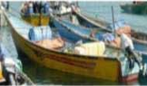2000 Fishing Boat